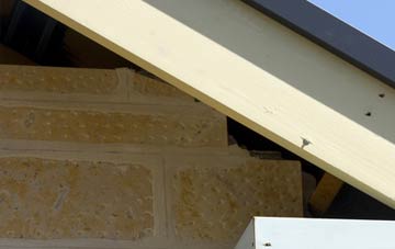 soffit repair Chesterknowes